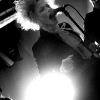 Animal Alpha