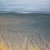 img_9612copy