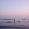 landscapes-3