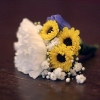 macro1